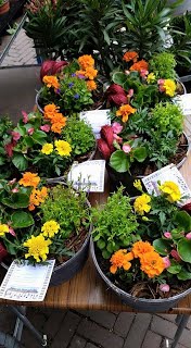 Bloemen